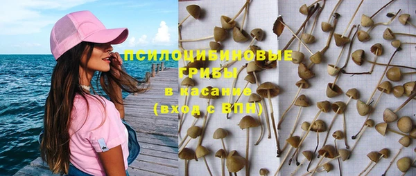 спиды Алексин